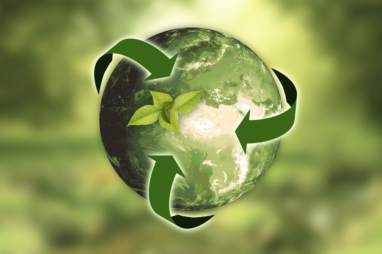 explorez le concept de durabilité, une approche essentielle pour protéger notre planète. découvrez des pratiques écologiques, des innovations durables et des initiatives qui favorisent un avenir respectueux de l'environnement.