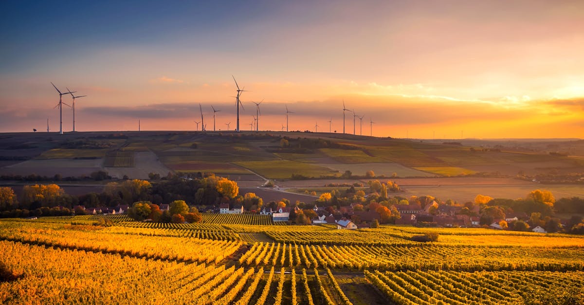 découvrez les enjeux et les pratiques de la durabilité, un concept clé pour préserver notre planète tout en répondant aux besoins des générations présentes et futures. apprenez comment intégrer des solutions durables dans votre quotidien pour un avenir meilleur.