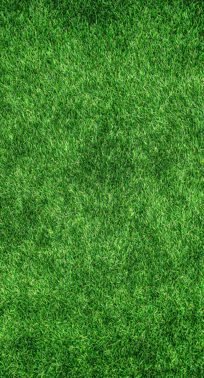 découvrez des astuces et conseils pratiques pour adopter des éco-gestes au quotidien et vivre de manière plus durable avec eco-habits.