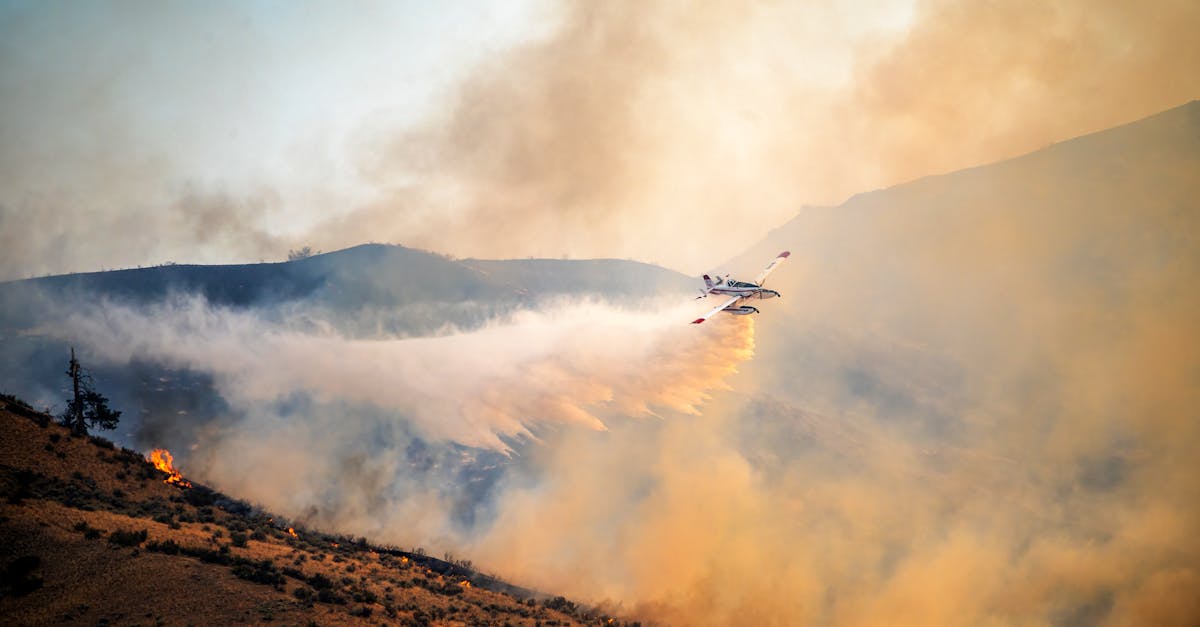 découvrez l'impact environnemental des activités humaines et les solutions pour préserver notre planète. informez-vous sur les changements climatiques, la pollution et les initiatives durables.