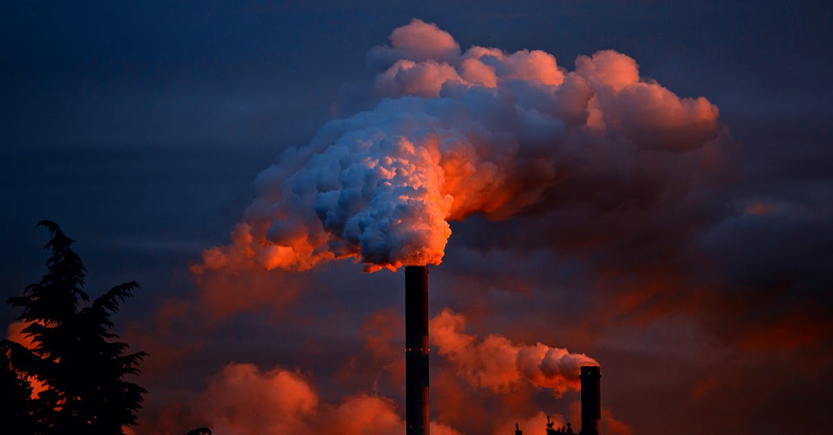 découvrez les différentes facettes de la pollution : ses causes, ses impacts sur la santé et l'environnement, ainsi que les solutions pour un avenir plus durable. informez-vous sur les enjeux majeurs liés à la pollution de l'air, de l'eau et des sols, et comment chacun peut contribuer à réduire son empreinte écologique.