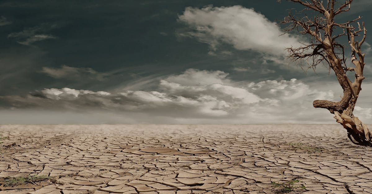découvrez les enjeux du changement climatique, ses impacts sur notre planète et les solutions pour un avenir durable. informez-vous sur les actions individuelles et collectives à entreprendre pour lutter contre ce phénomène mondial.