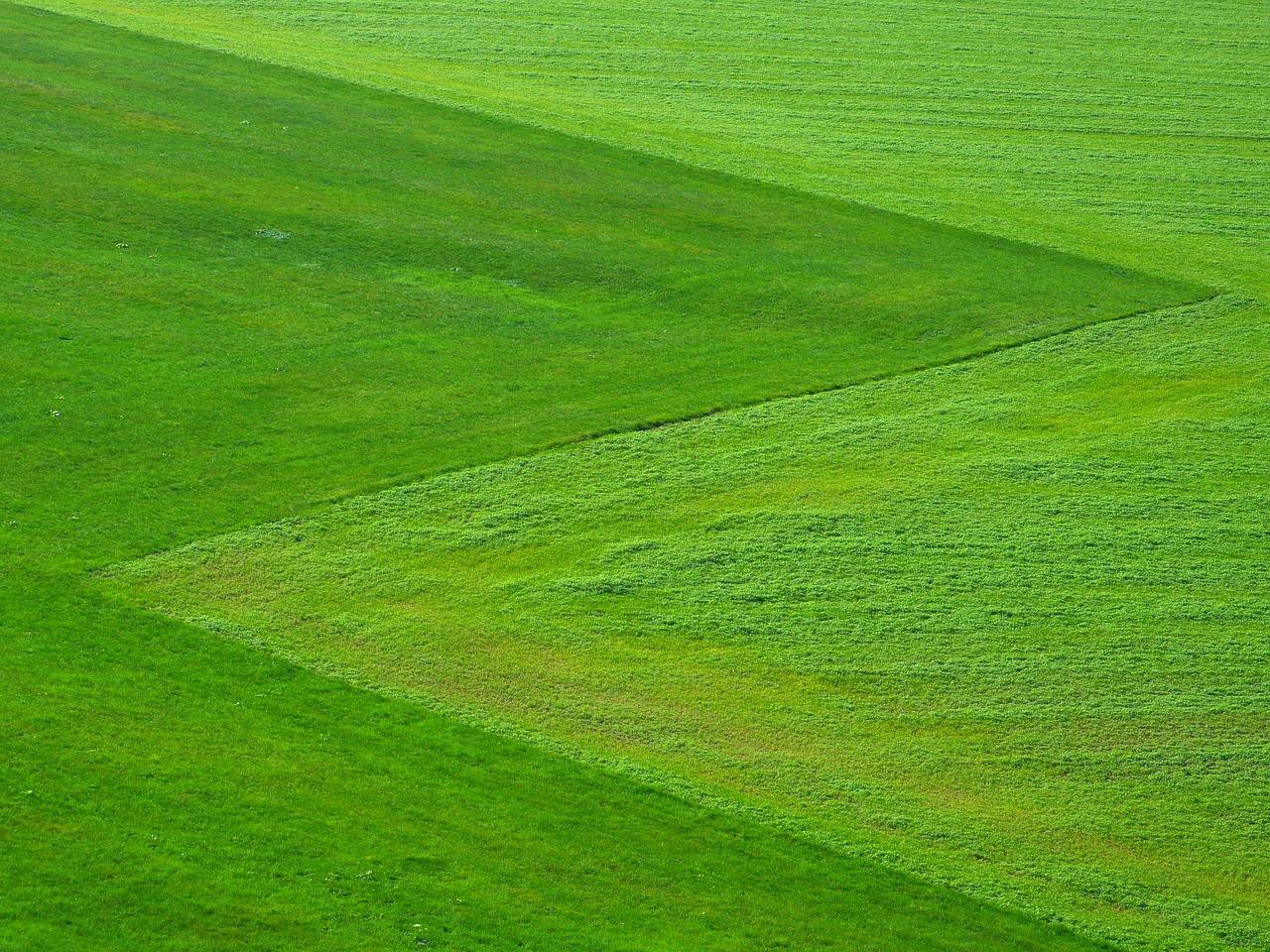 découvrez nos initiatives écologiques innovantes visant à promouvoir un avenir durable. rejoignez-nous dans nos efforts pour réduire notre empreinte carbone et protéger notre planète grâce à des actions concrètes et responsables.