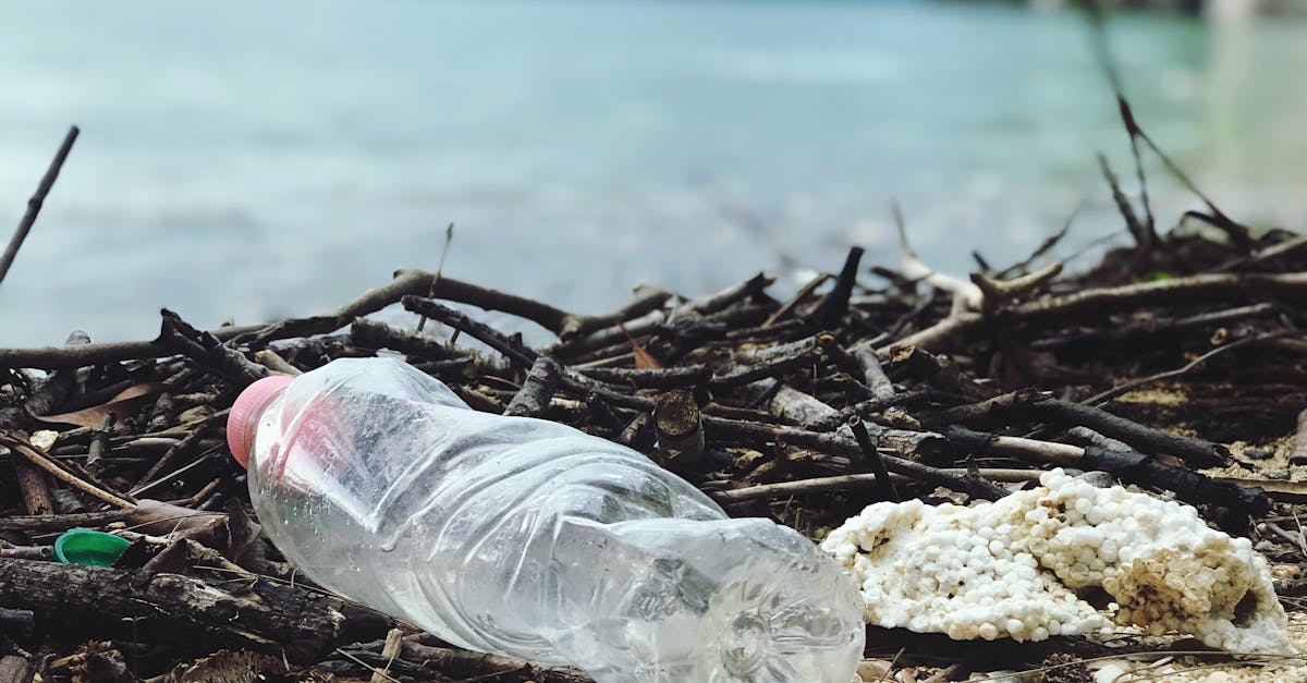 découvrez les meilleures pratiques et solutions en gestion des déchets pour un environnement plus propre et durable. apprenez à optimiser le recyclage, réduire les déchets et adopter des stratégies écoresponsables.