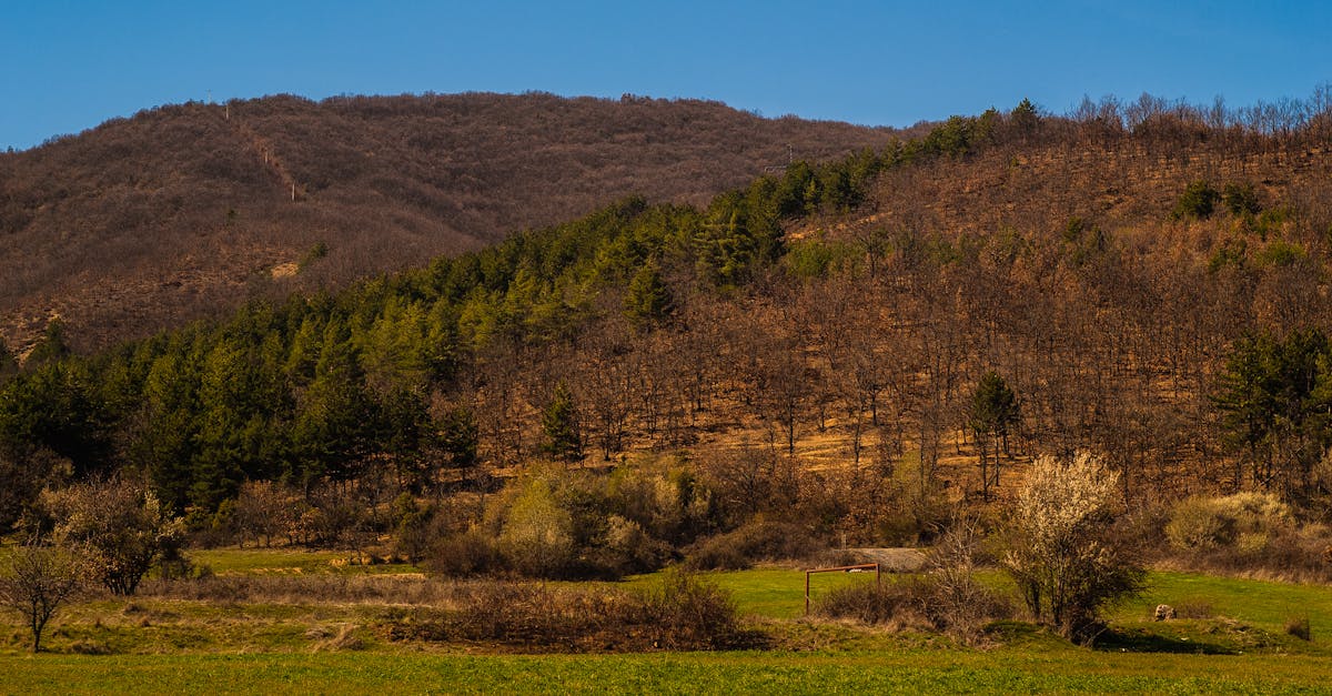 découvrez l'importance de la biodiversité pour notre planète. explorez comment la diversité des espèces et des écosystèmes soutient la vie, préserve nos ressources naturelles et contribue à l'équilibre environnemental. engagez-vous en faveur de la protection de notre biodiversité.