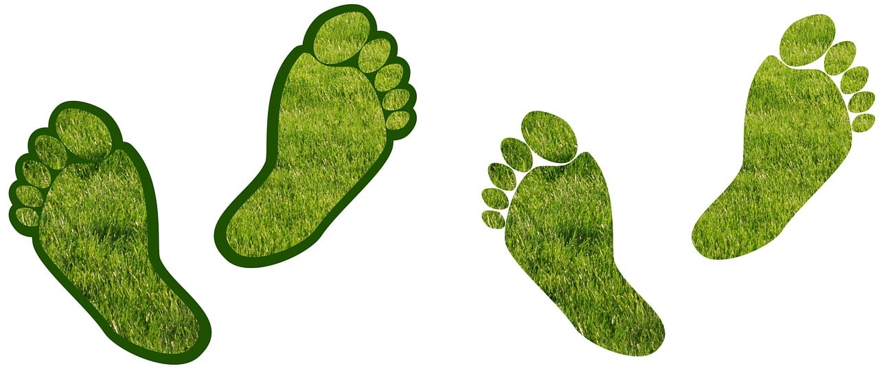 découvrez tout sur l’empreinte carbone : définition, importance, méthodes de calcul et astuces pour réduire votre impact environnemental au quotidien.
