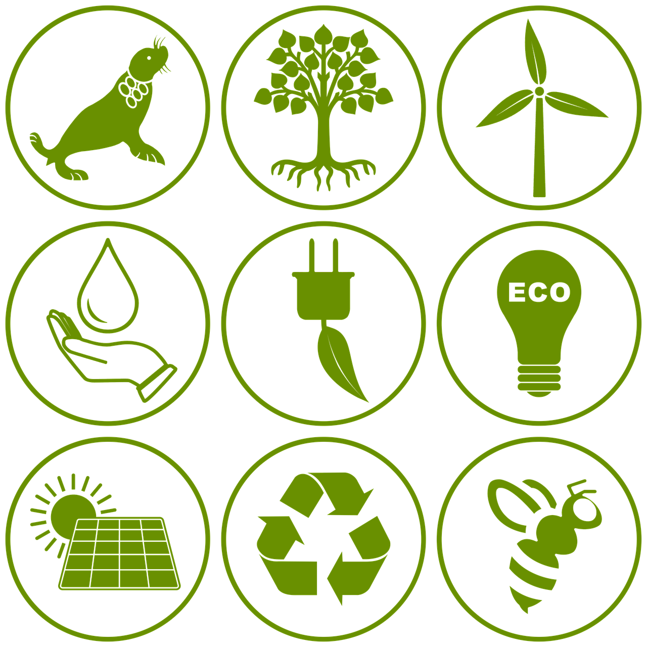 découvrez les enjeux et les solutions pour un avenir durable avec notre guide sur la durabilité. explorez des pratiques écoresponsables, des innovations vertes et des conseils pour réduire votre empreinte écologique.
