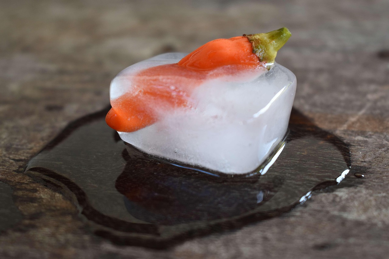 découvrez notre large sélection de plats surgelés savoureux et pratiques. parfait pour les repas rapides, nos produits garantissent fraîcheur et qualité. idéal pour toute la famille!
