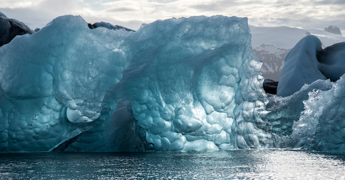 découvrez l'impact du changement climatique sur notre planète, ses causes et ses conséquences, ainsi que les solutions pour un avenir durable et responsable.