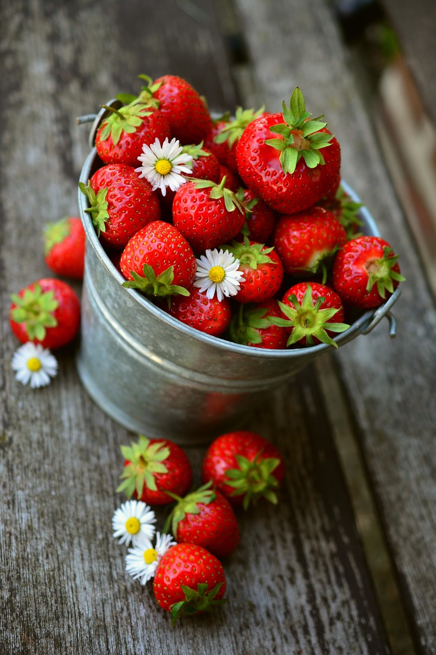découvrez nos conseils pour un jardinage bio sur balcon, facile et écologique, afin de cultiver vos propres légumes, herbes aromatiques et fleurs en toute harmonie avec la nature.
