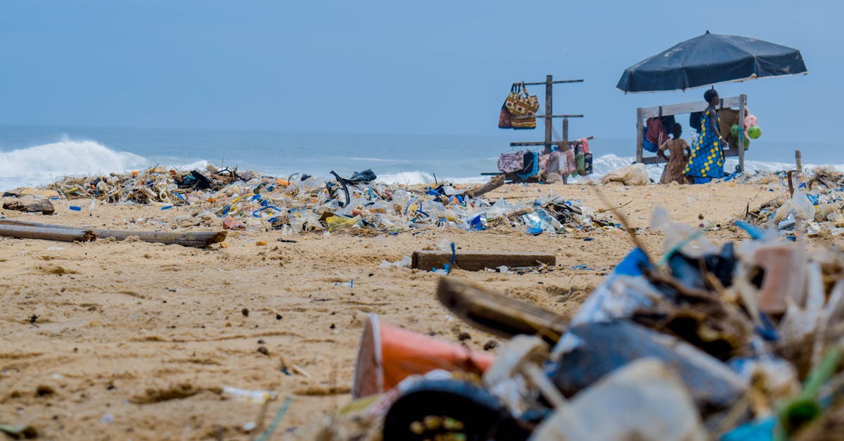 découvrez les causes, les conséquences et les solutions face à la pollution, un enjeu majeur pour notre planète. explorez les différents types de pollution, leurs impacts sur la santé et l'environnement, et les actions que nous pouvons entreprendre pour un avenir plus sain.