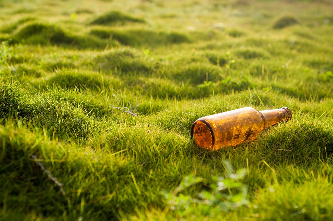 découvrez les effets de nos actions sur l'environnement et explorez des solutions pour réduire l'impact écologique.