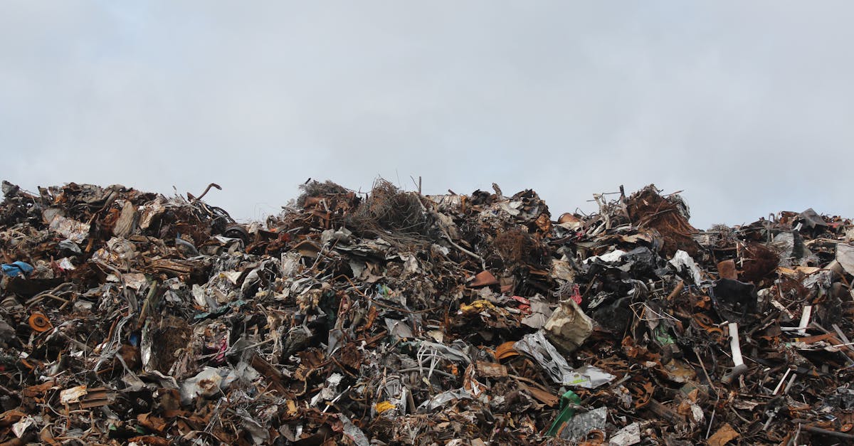 découvrez l'impact environnemental des activités humaines et apprenez comment réduire notre empreinte écologique pour un avenir durable. explorez des solutions concrètes pour protéger notre planète.