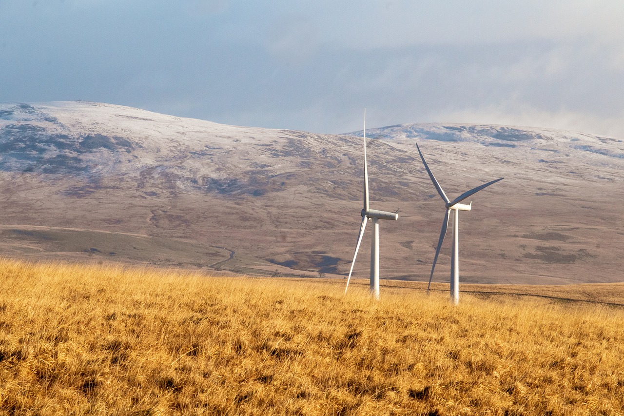 découvrez comment intégrer des solutions d'énergie renouvelable à votre domicile pour réduire votre empreinte écologique et économiser sur vos factures d'énergie.