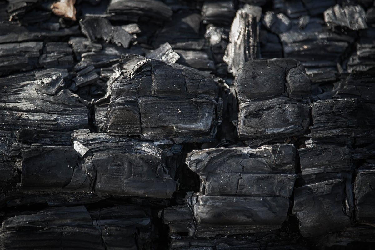 Les différents types de bilans carbone : lequel choisir ?
