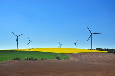 Le rôle crucial de la finance durable dans l’atteinte d’un équilibre carbone vers zéro émission nette