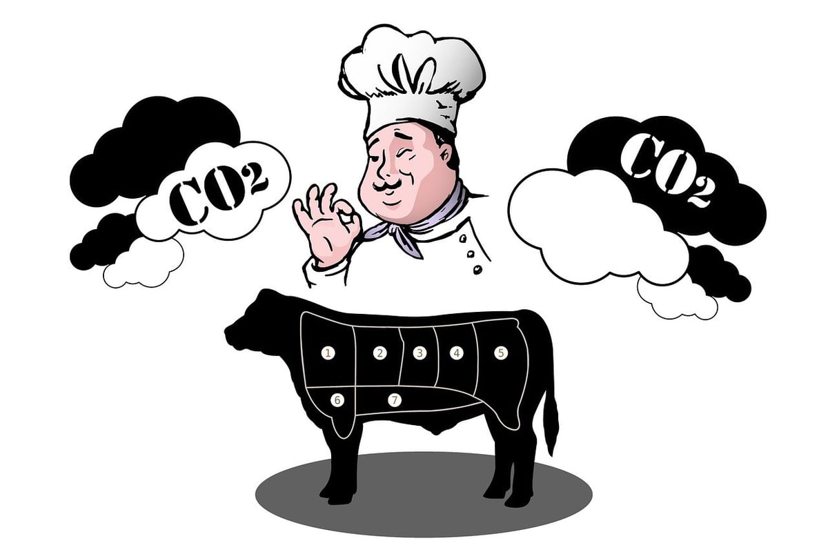 Bilan Carbone : Guide Complet
