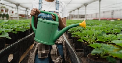 Pratiques agricoles durables : promouvoir une agriculture responsable et respectueuse de l’environnement