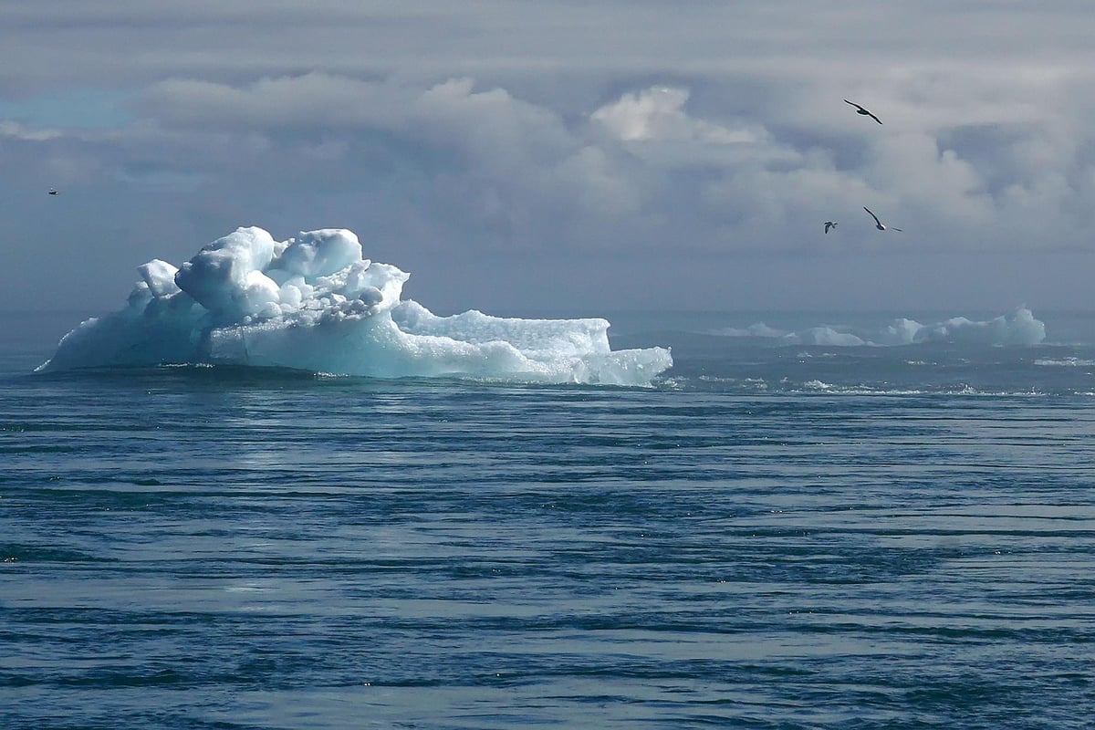 Changement climatique : 5 actions simples pour un impact positif