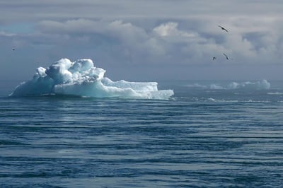 Changement climatique : 5 actions simples pour un impact positif