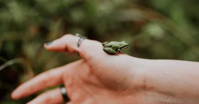 Associations environnementales : comment elles contribuent à la protection de la planète