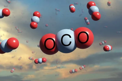 Comment créer un rapport de bilan carbone convaincant