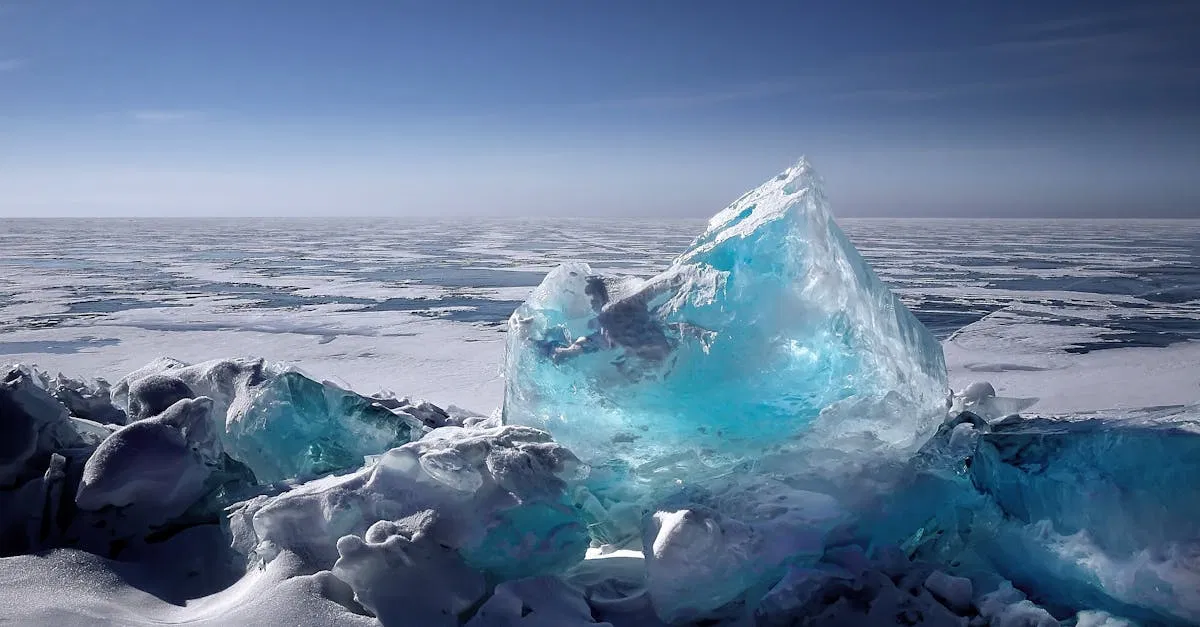 Changement climatique : comprendre ses impacts sur notre environnement