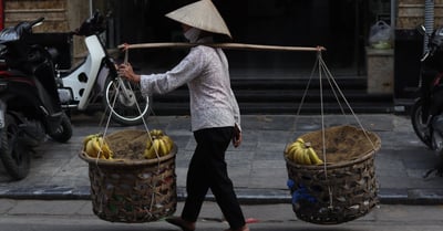 Marché du carbone : Comprendre ses enjeux et son impact sur l’économie verte
