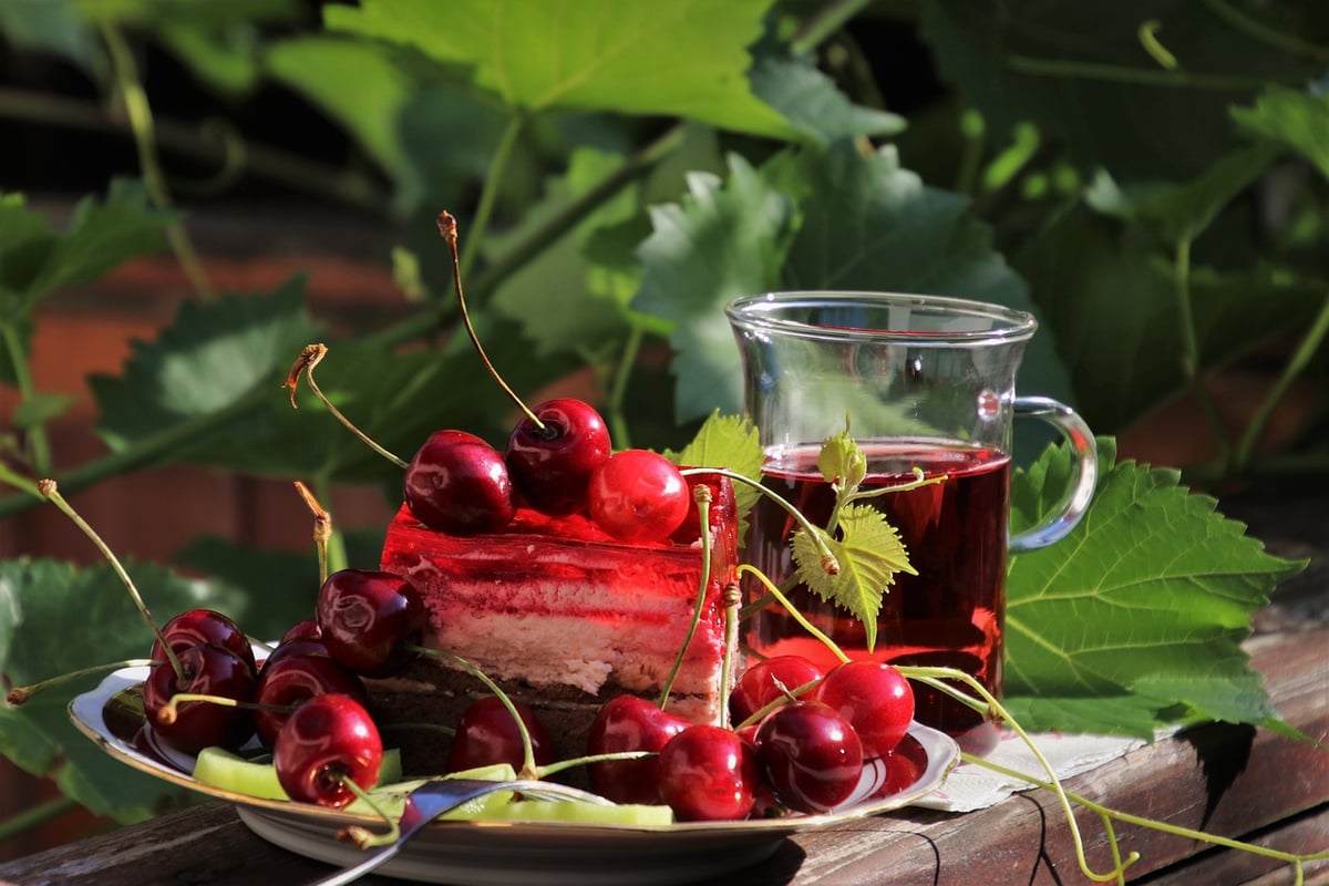 Jardinage bio sur balcon : astuces simples et efficaces pour 2025