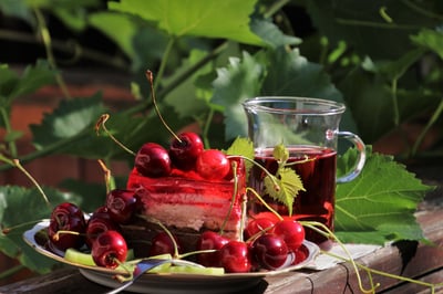 Jardinage bio sur balcon : astuces simples et efficaces pour 2025
