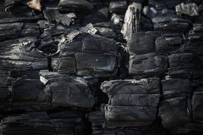 Comment intégrer le bilan carbone dans votre stratégie de développement durable