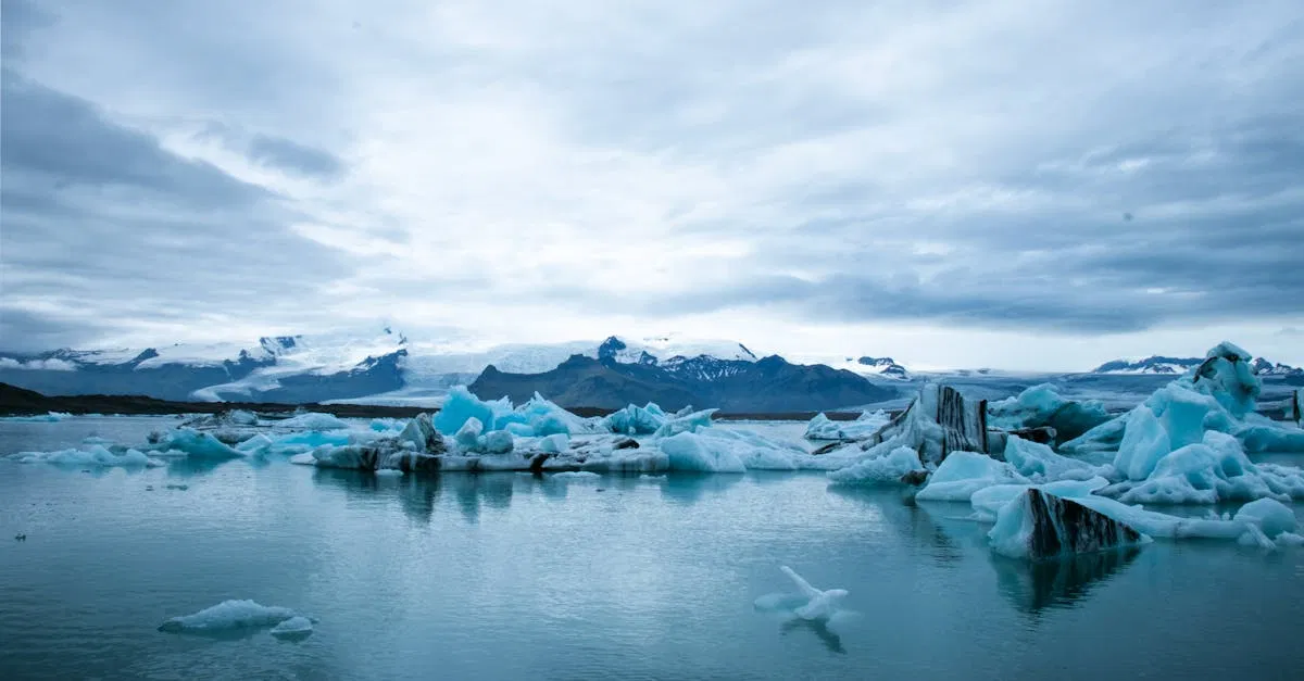 Environnement : Comprendre les enjeux du changement climatique pour un avenir durable