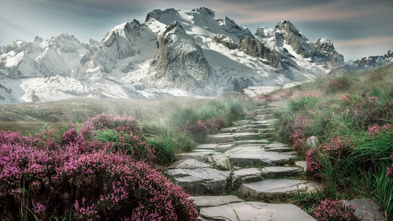 Les musées face à l’enjeu de la décarbonation