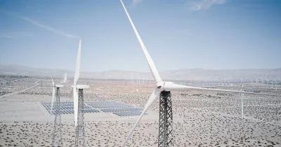 Développement social et environnemental : enjeux et initiatives pour un avenir durable